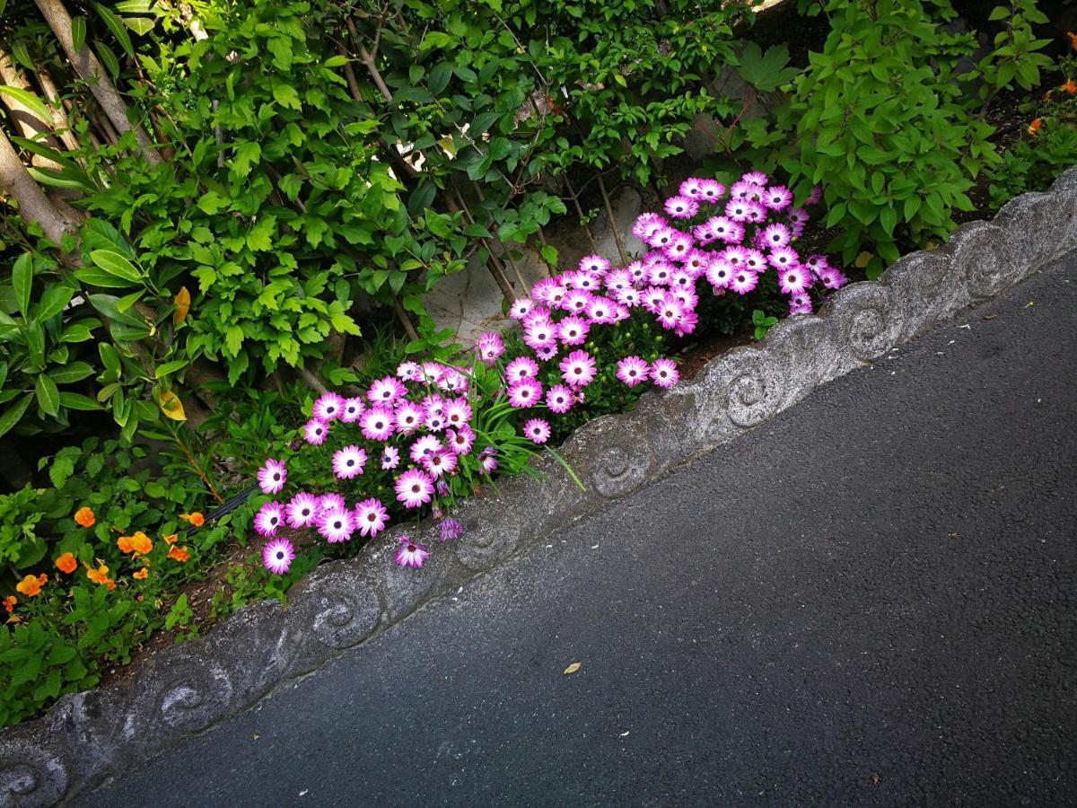 Camping Pilzone Iseo Exterior foto
